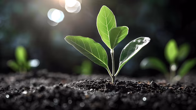 Sustainable Agricultural Landscape in Karnataka