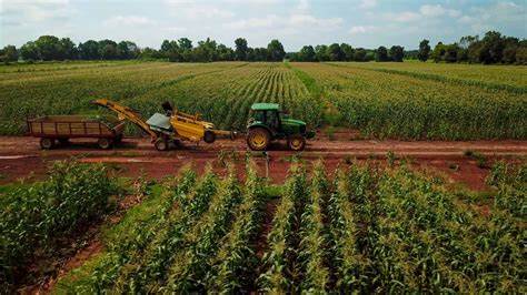 Plantation Services for Sustainable Farming