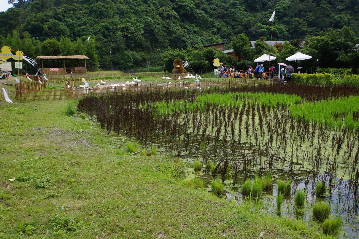 Agricultural Infrastructure Solutions